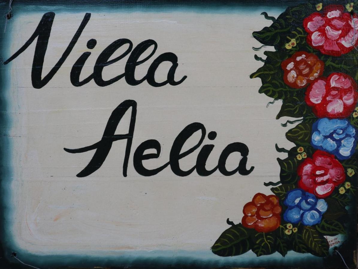 Villa Aelia - A Peaceful And Private Place Argostoli (Kefalonia) Exterior foto