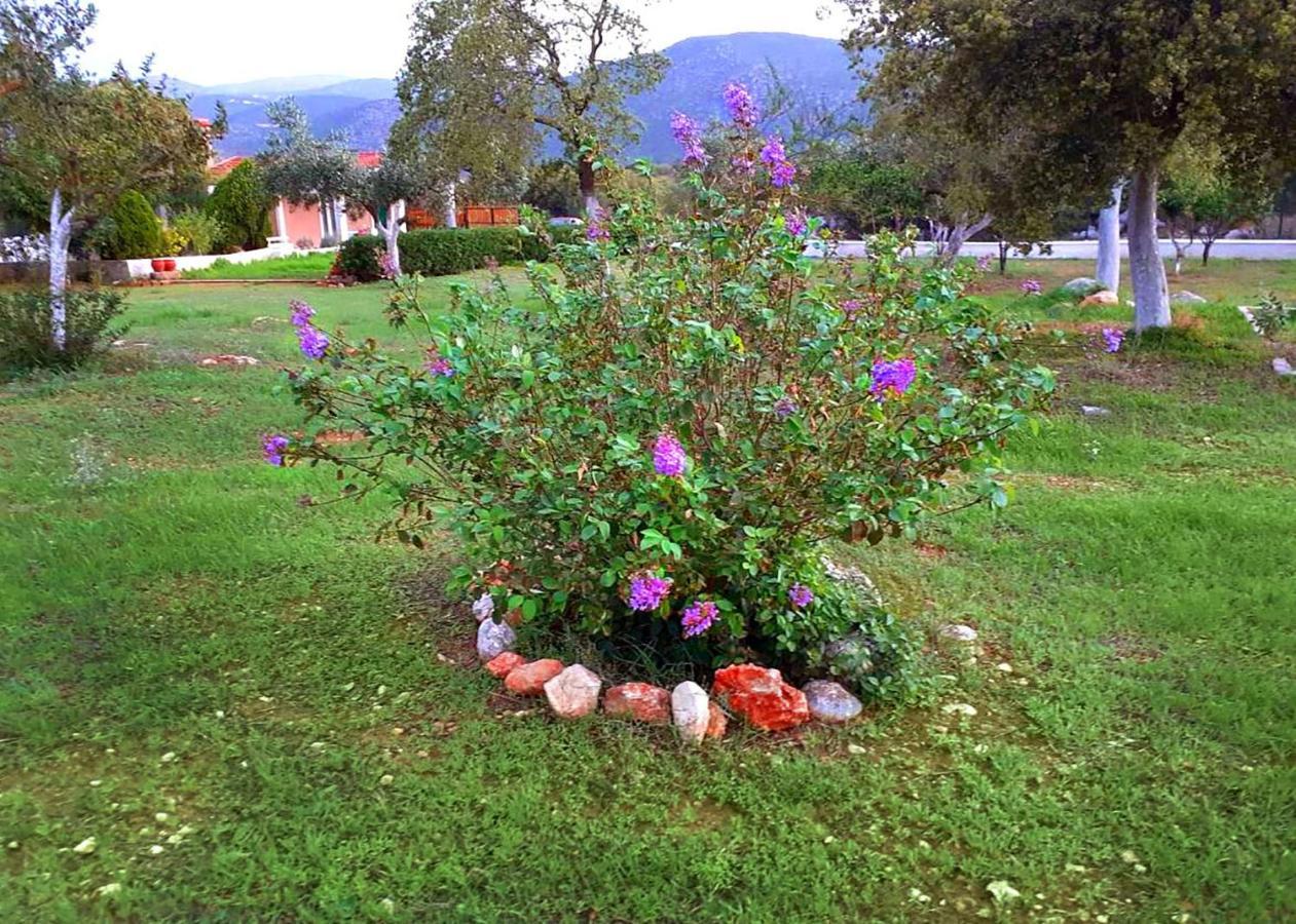 Villa Aelia - A Peaceful And Private Place Argostoli (Kefalonia) Exterior foto