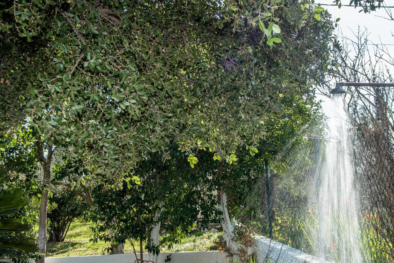 Villa Aelia - A Peaceful And Private Place Argostoli (Kefalonia) Exterior foto